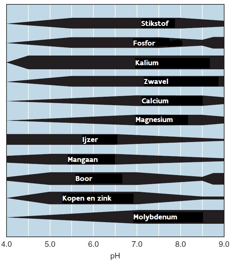 Beschikbaarheid nutriënten ifv bodem-pH