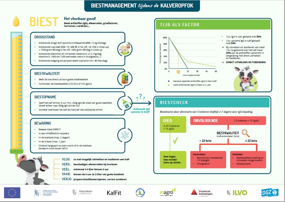 Infographic Biest