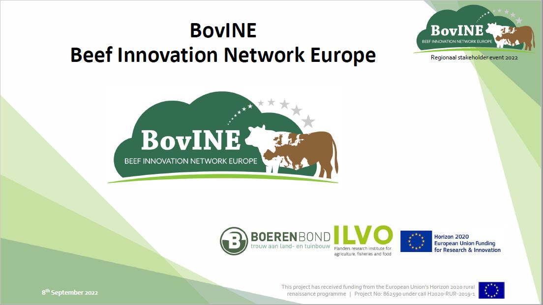 BovINE - Presentatie 1