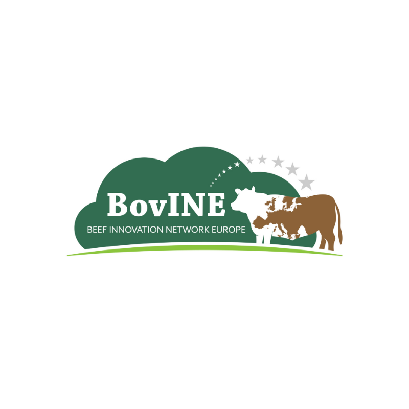 BovINE
