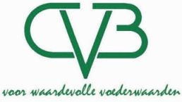 CVB Logo