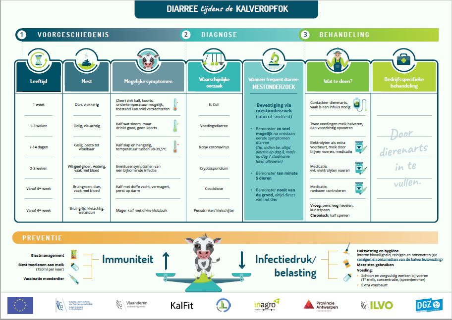 Infographic diarree