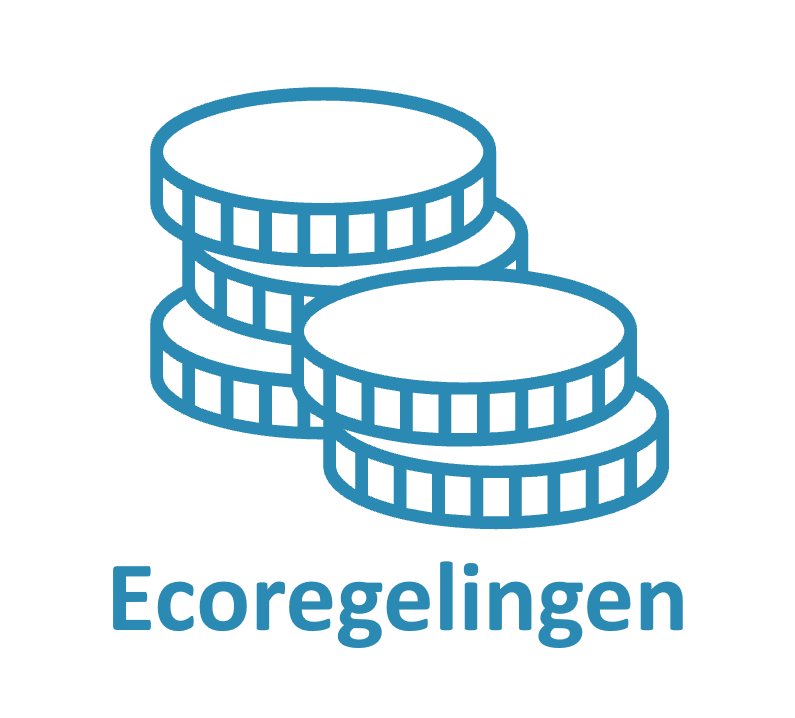 Eco-regelingen