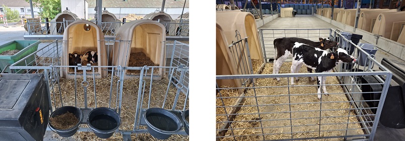 Gepaarde huisvesting