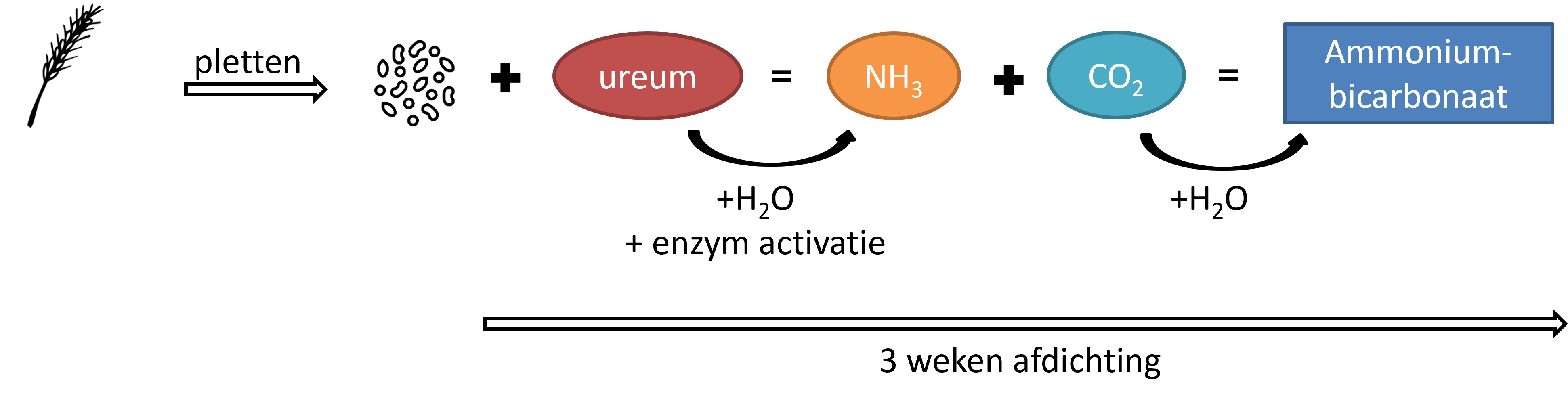 Graan behandelen met ureum