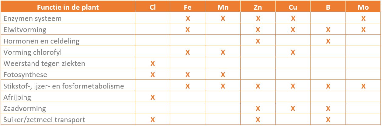 Functie micronutriënten