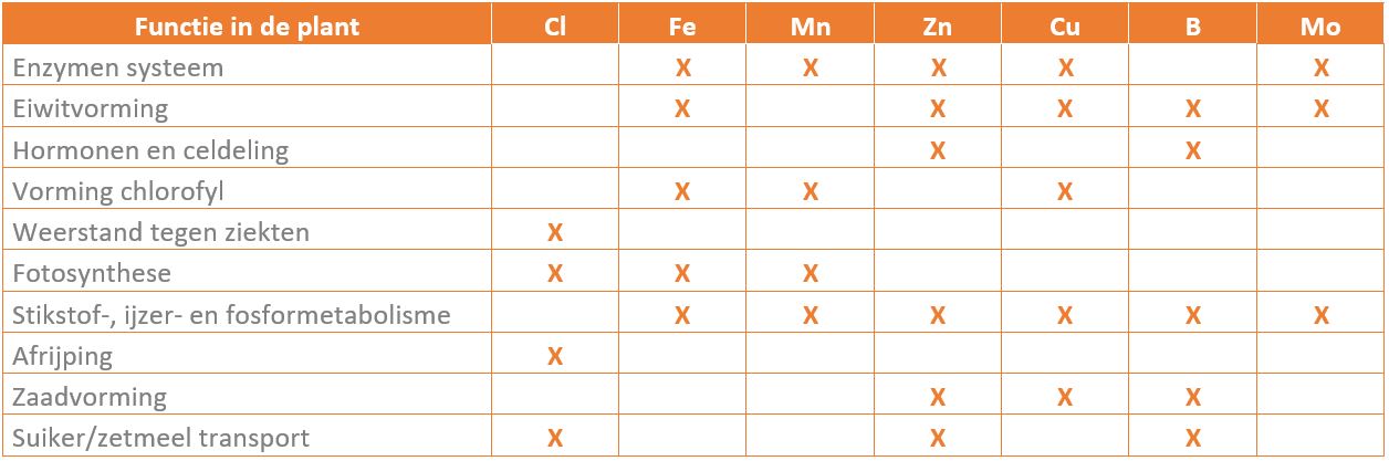 Functie micronutriënten