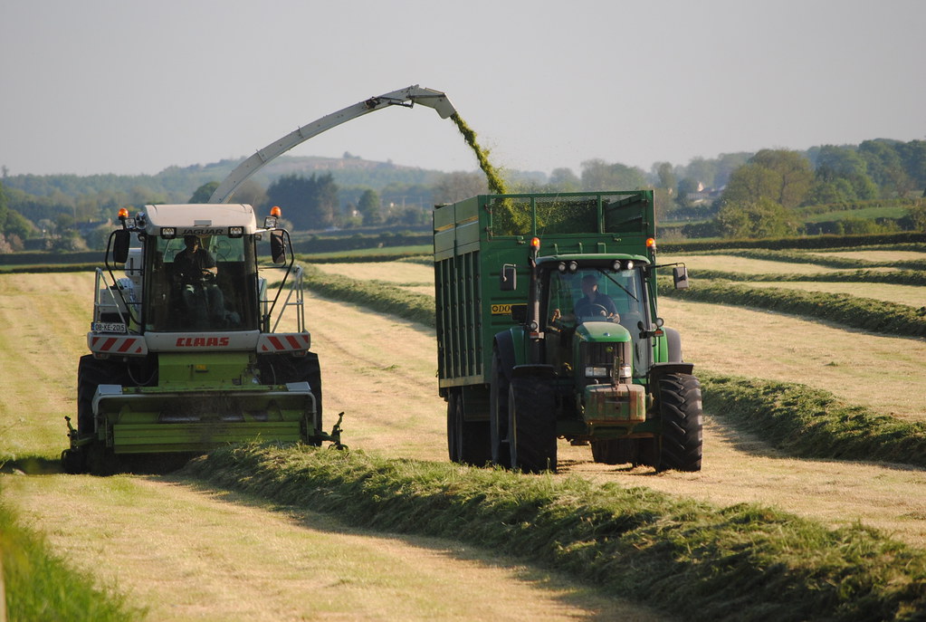 Gras inkuilen