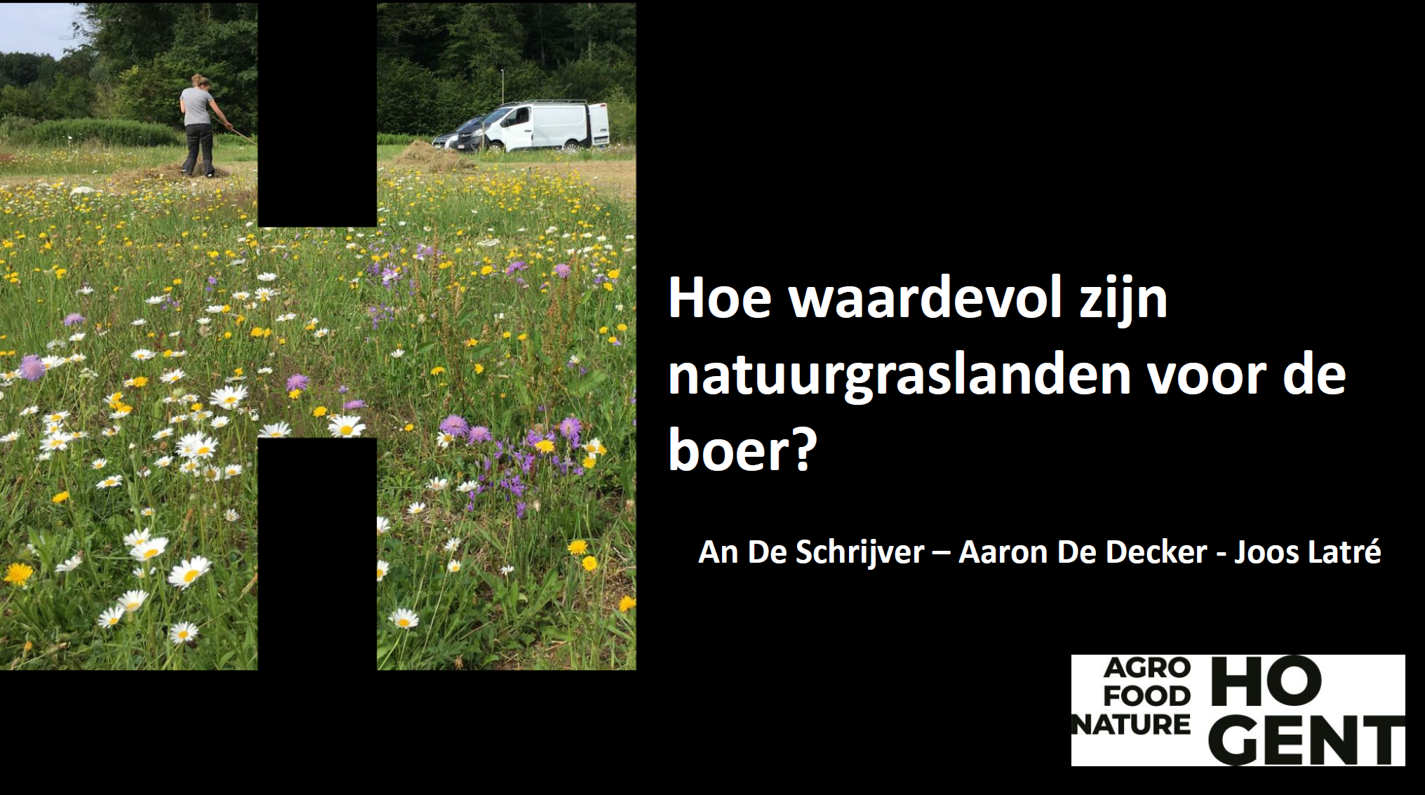 GrasKracht_natuurgraslanden