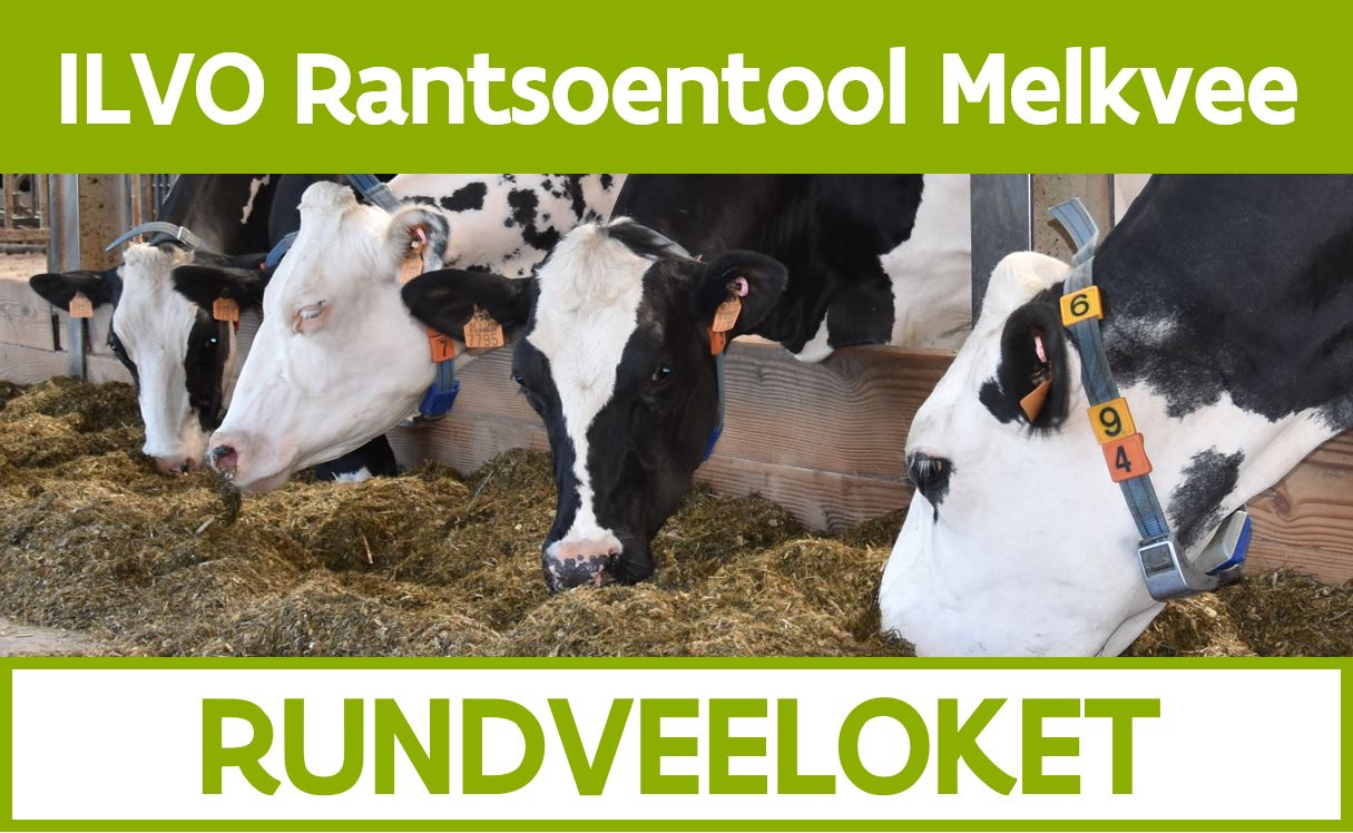 ILVO Rantsoentool Melkvee