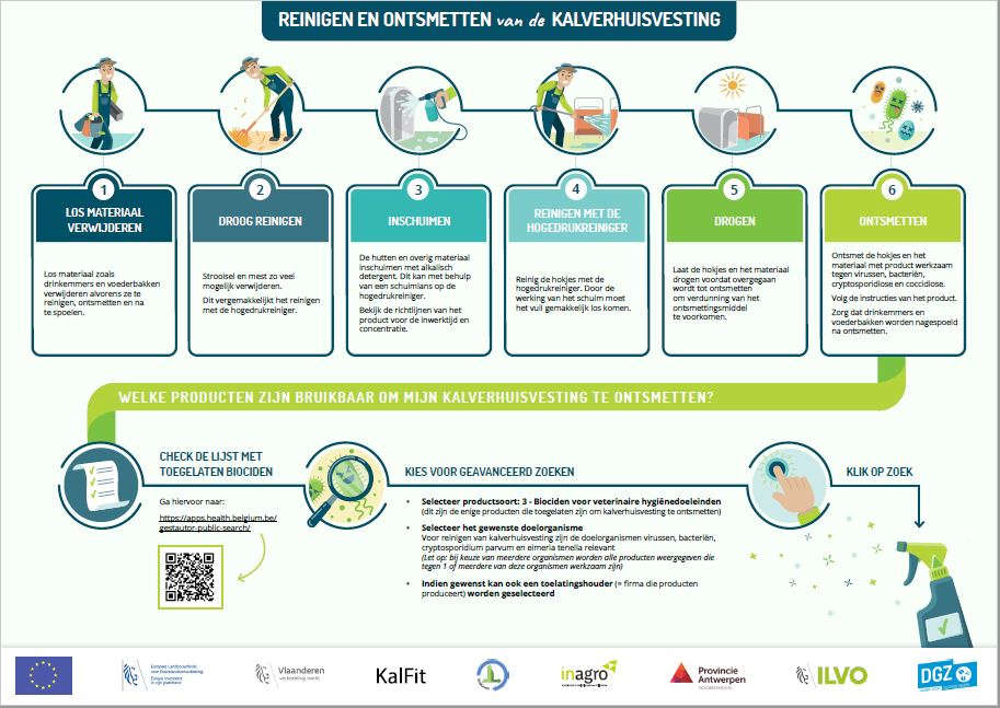 Infographic kalverhuisvesting