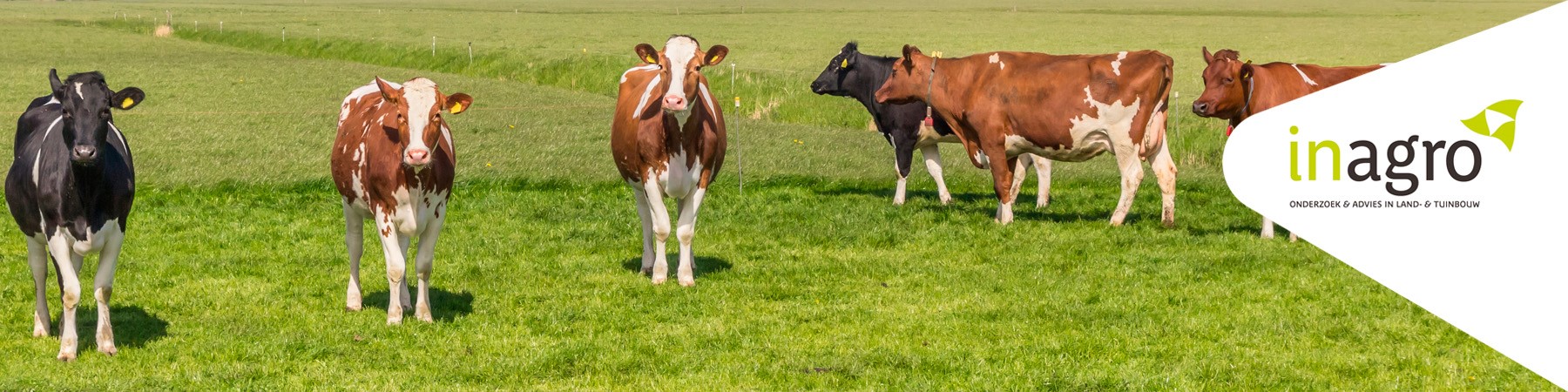 Meeting at the farm