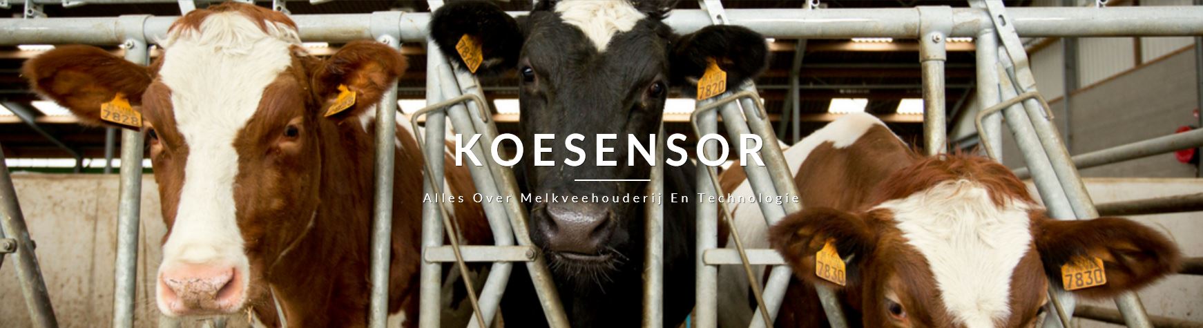 Koesensor