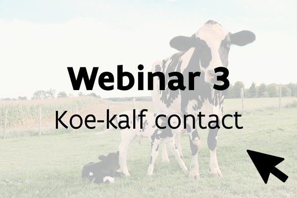Webinar 3