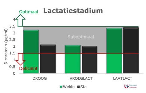 Lactatiestadium en betacaroteengehalte