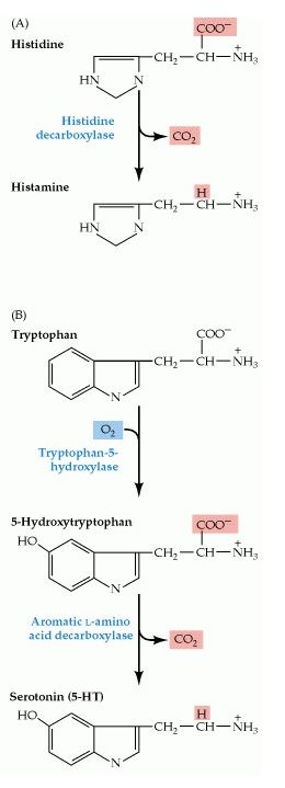 Synthese Pathway 2