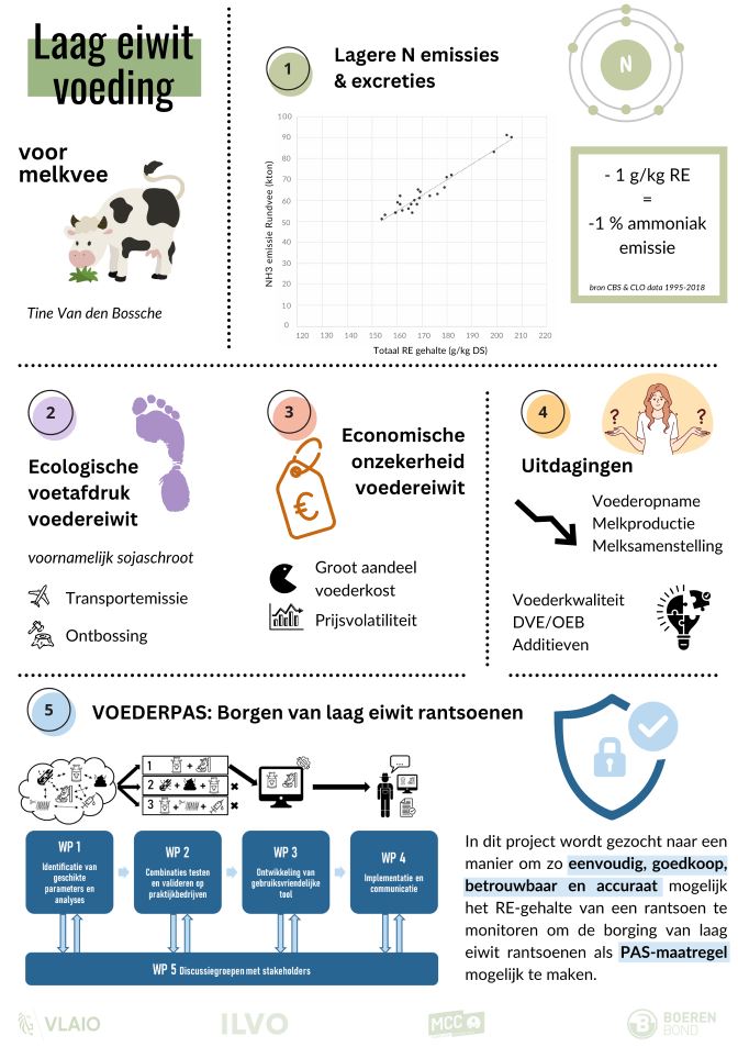Poster laageiwit rantsoen