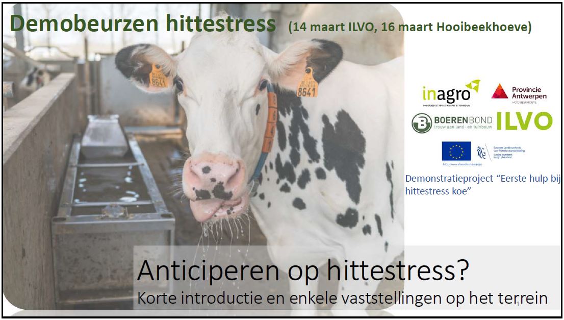 Presentatie Hittestress