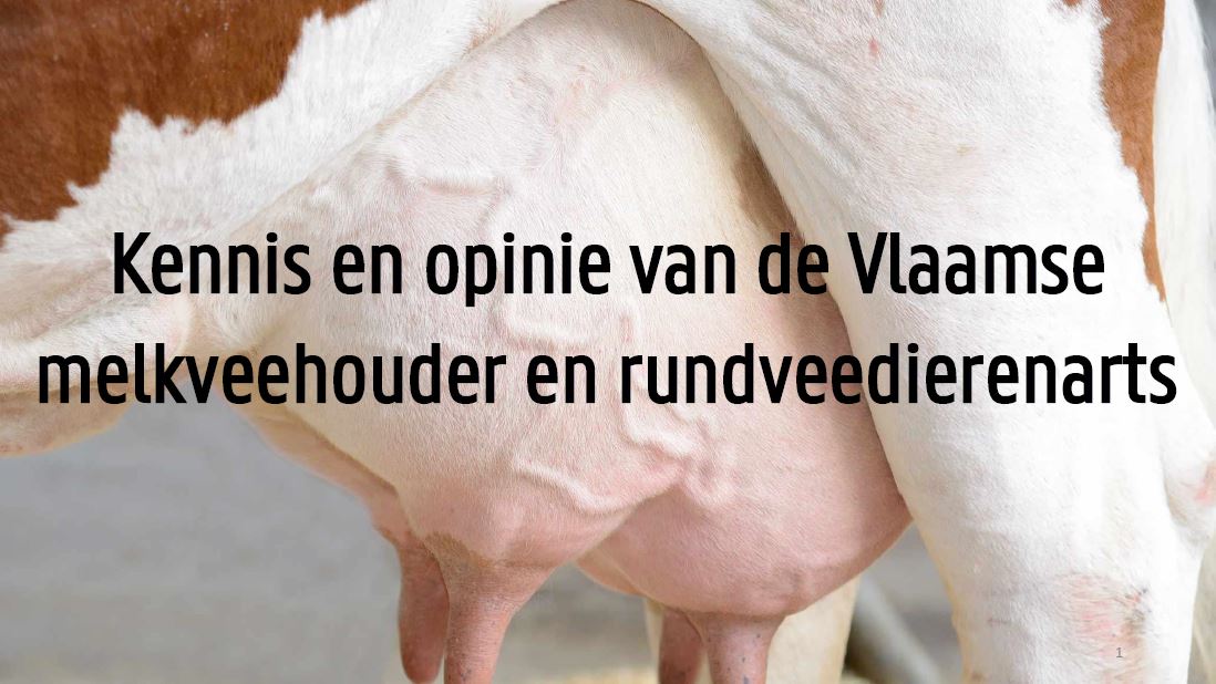Presentatie Lien 1