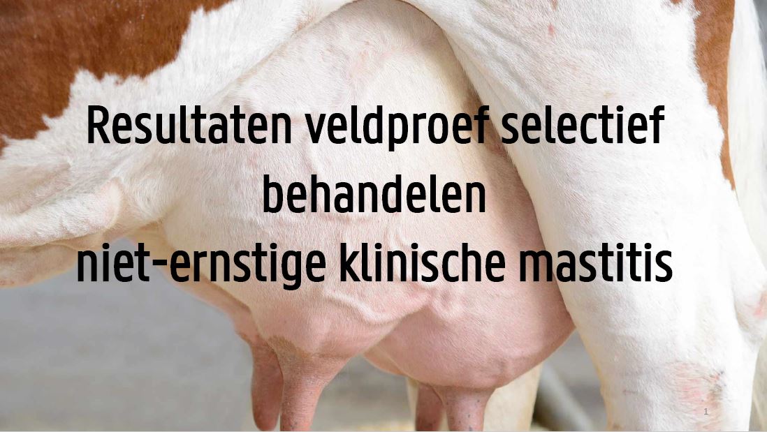 Presentatie Lien 2