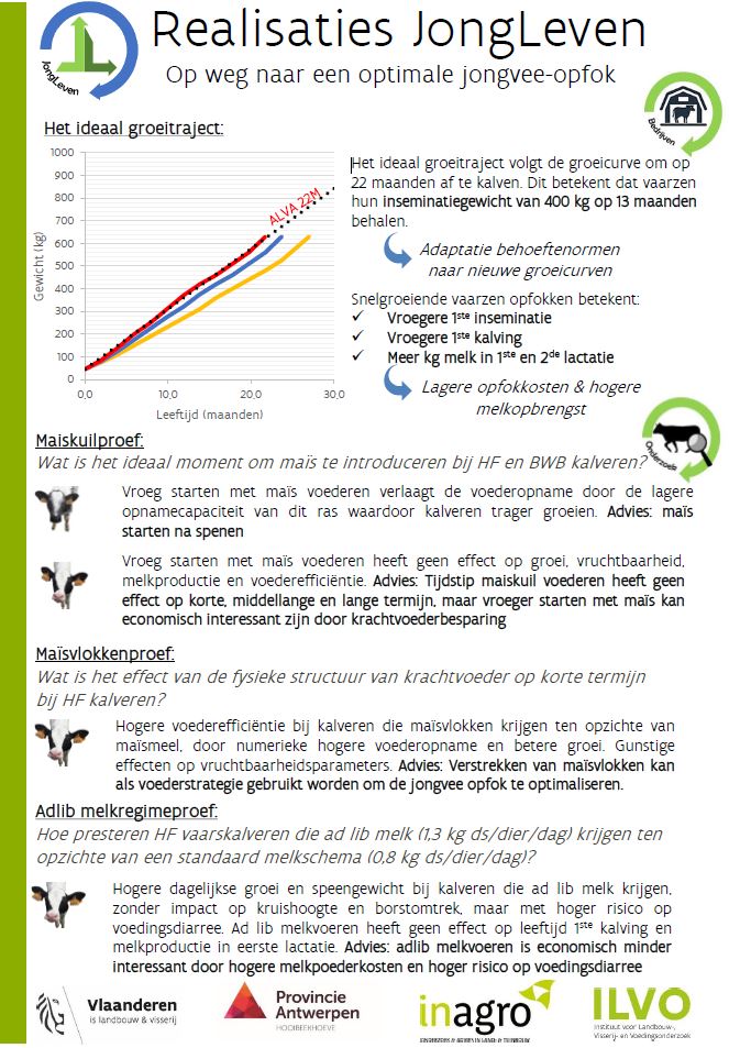 Realisaties JongLeven