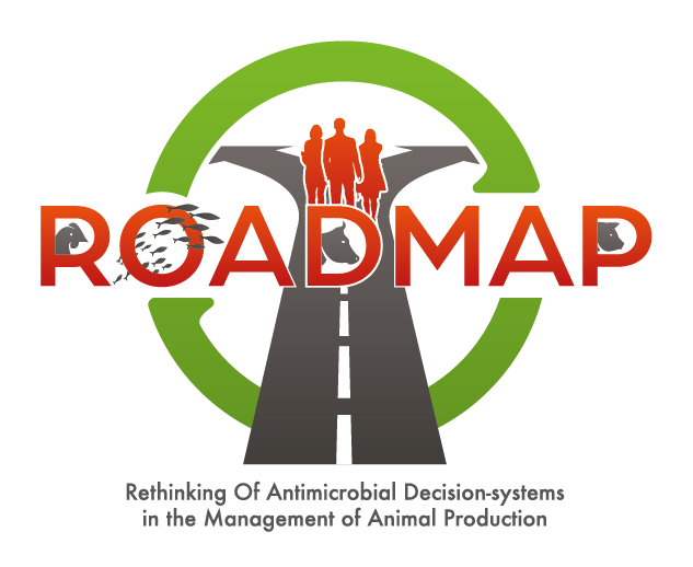 Roadmap logo
