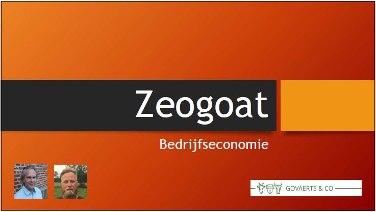 Presentatie economie