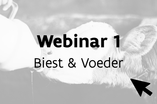 Webinar 1