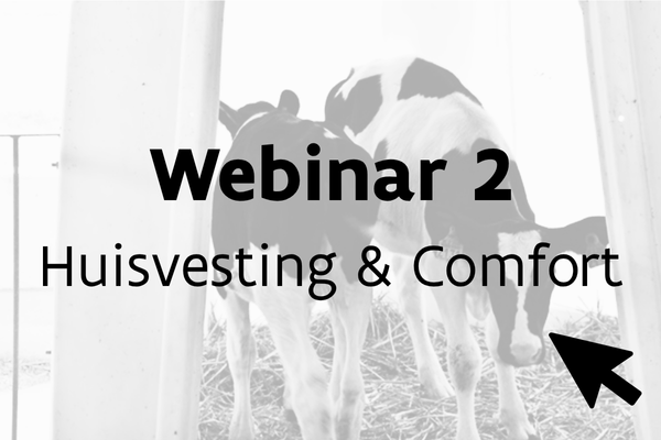 Webinar 2