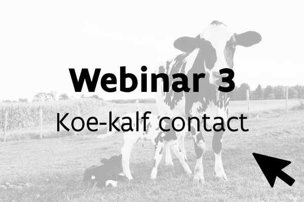 Webinar 3