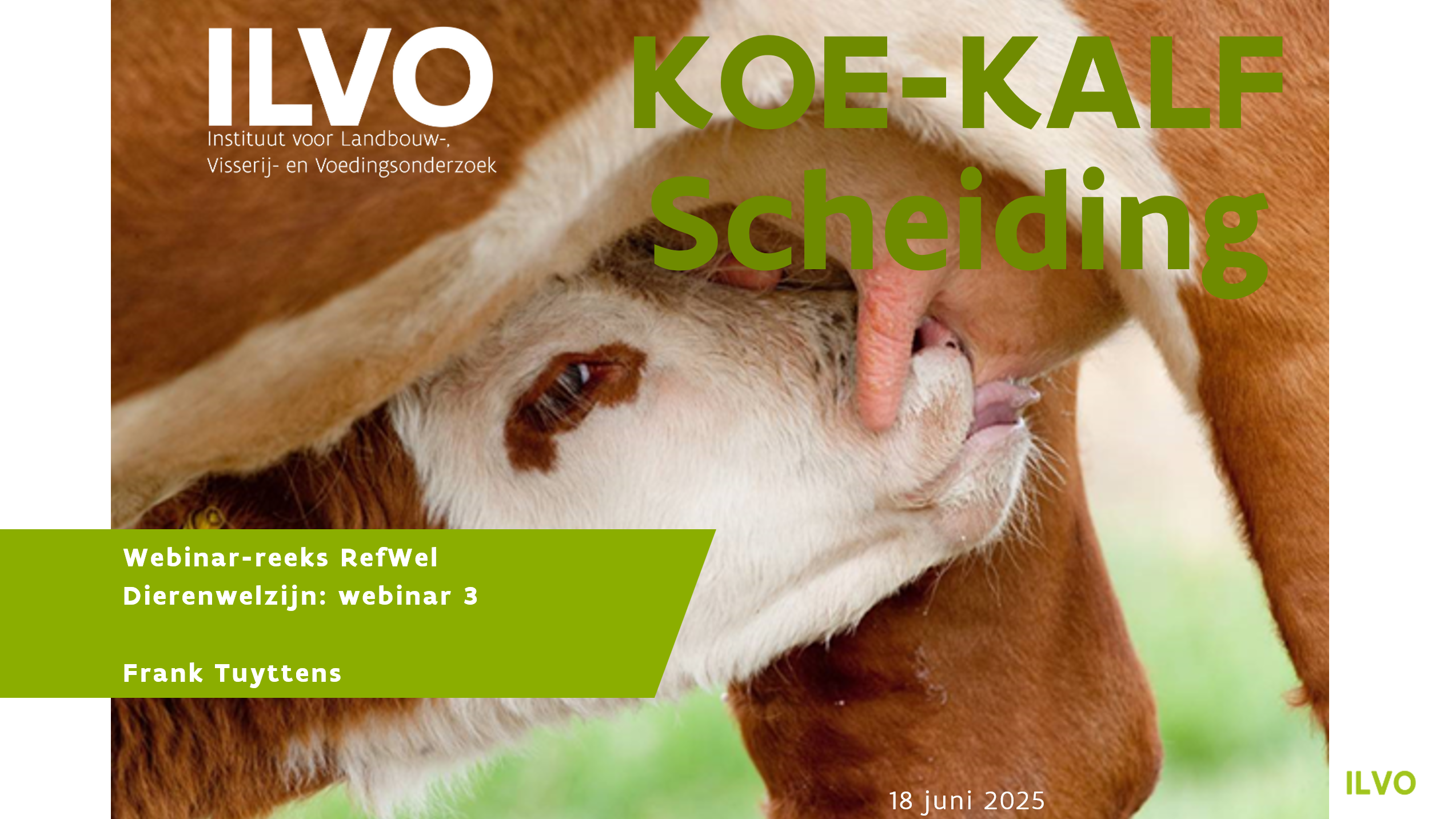 Webinar3_handouts_FrankTuyttens