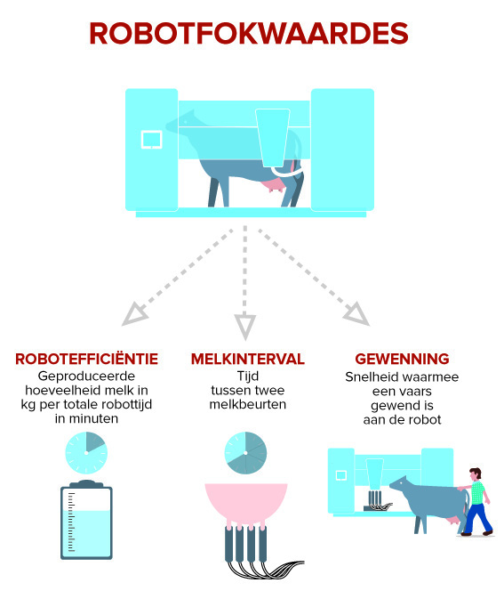 Infographic fokwaardes