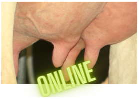 Online: Mastitis