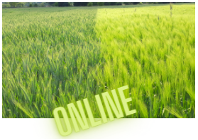 Online: onderzaai