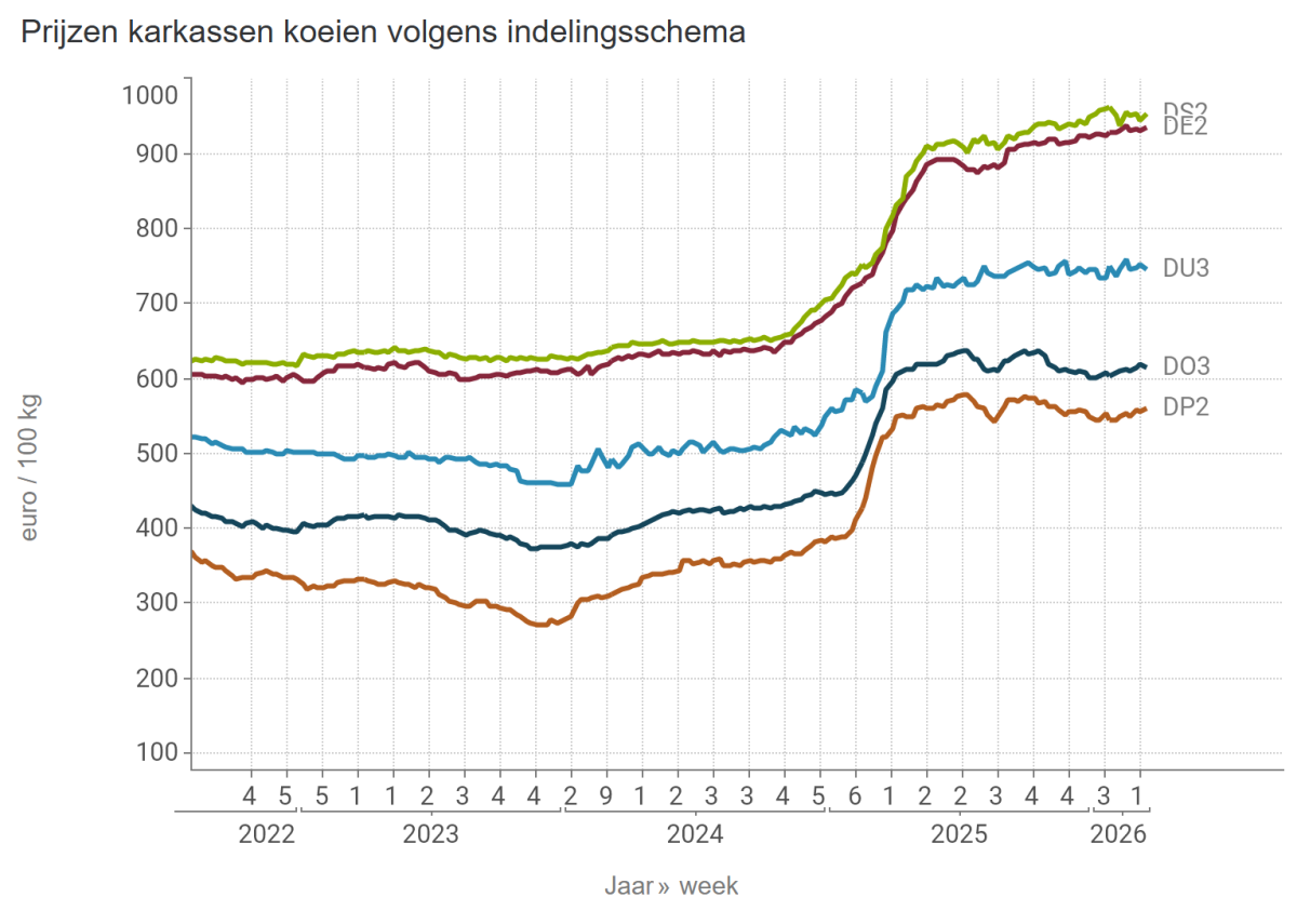 Prijzen karkassen koeien volgens indelingsschema